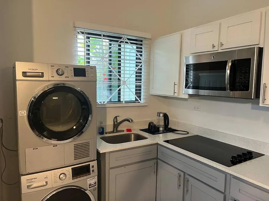 Luxury 1 Bedroom & Rooftop Pool Unit #2 Falmouth 0*,  Jamaica