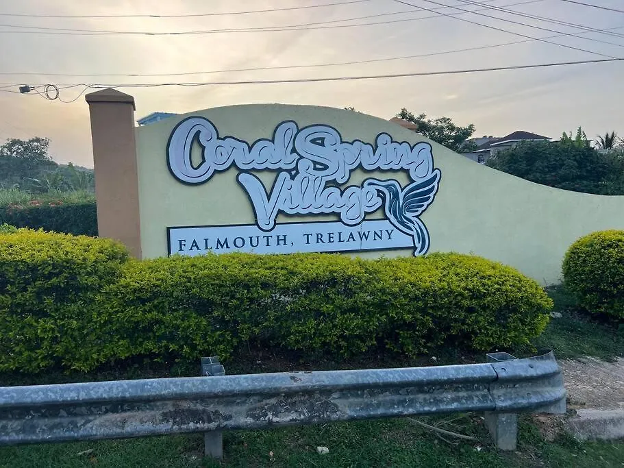 Luxury 1 Bedroom & Rooftop Pool Unit #2 Falmouth Jamaica